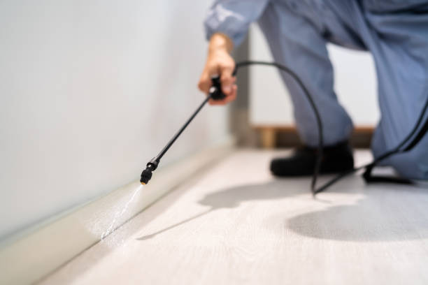 Bed Bug Pre-Treatment Preparation Assessment in Pontiac