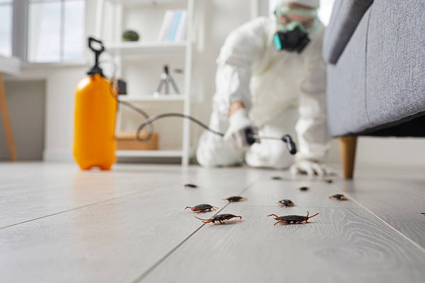 Post-Treatment Bed Bug Interceptor Monitoring in Pontiac