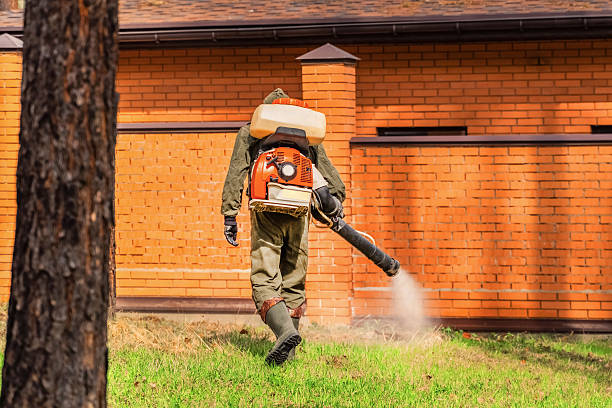 Bed Bug Clearance Verification and Documentation in Pontiac